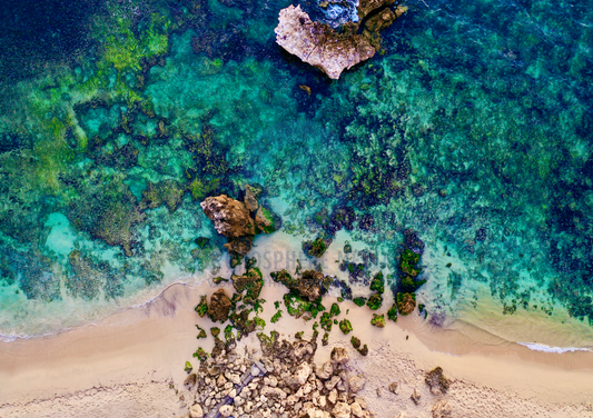 Tropical Tapestry